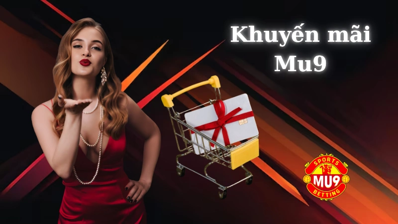 Kinh nghiệm từ các bet thủ thành công